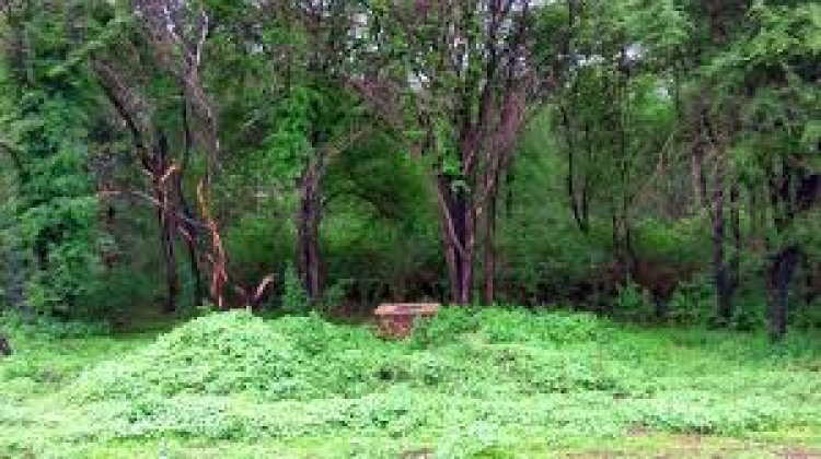 नारायणपुर के अबूझमाड़ में सुरक्षाबलों की बड़ी सफलता : दो इनामी नक्सली ढेर